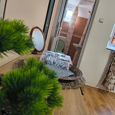 Проживание в семье Casa Victor