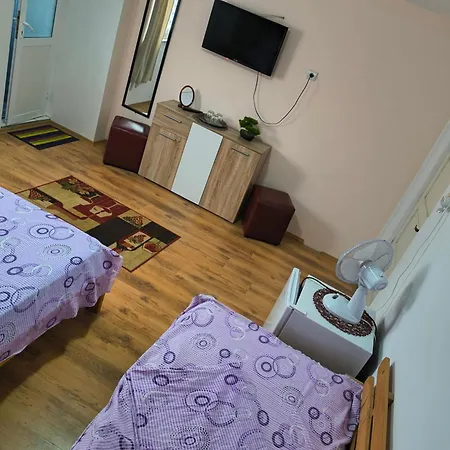 Проживание в семье Casa Victor