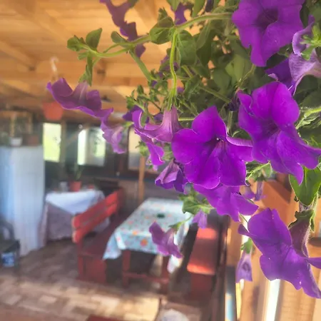 Casa Victor Alloggio in famiglia *