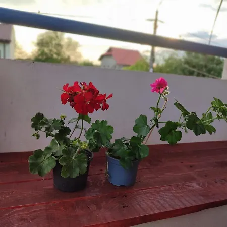 Casa Victor *