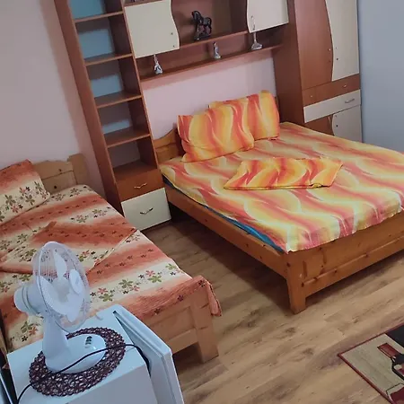 Casa Victor Homestay *